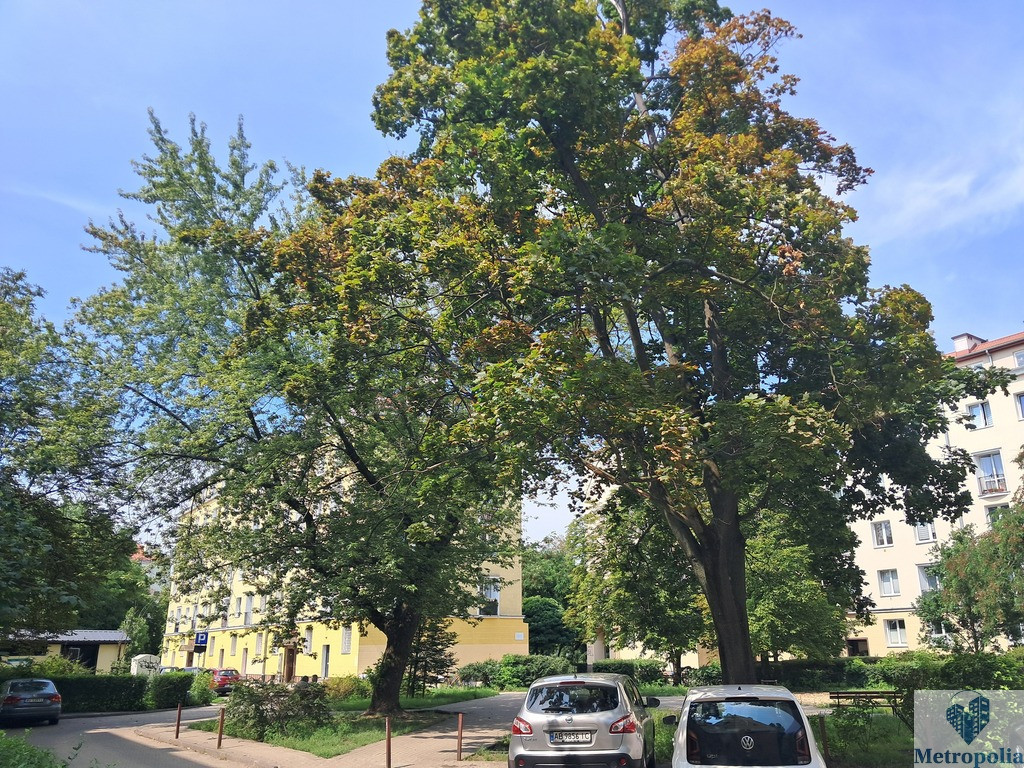 Mieszkanie Sprzedaż Warszawa Czerska